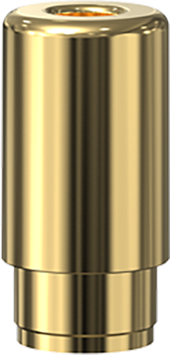 Metal Barrel mouthpiece — Gold